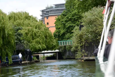 DSC_2756 (Large).JPG